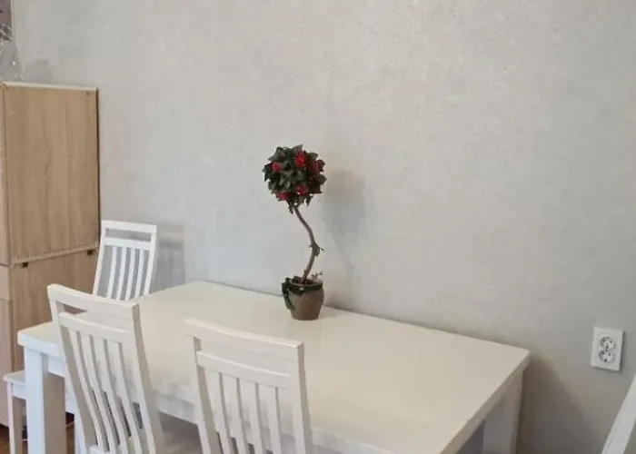 公寓 In The Center Of 纳尔瓦